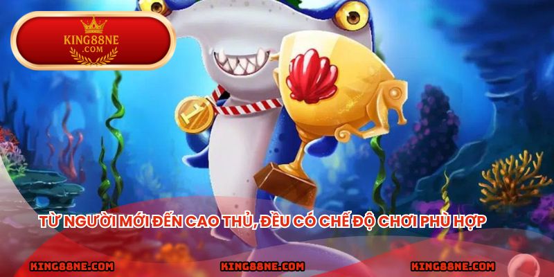 Từ người mới đến cao thủ, đều có chế độ chơi phù hợp.