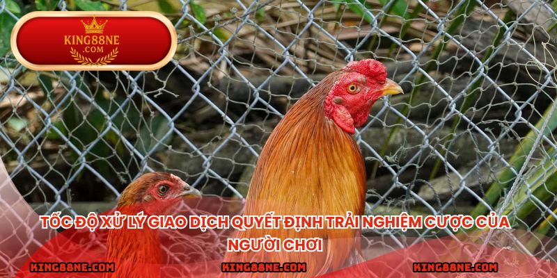 Tốc độ xử lý giao dịch quyết định trải nghiệm cược của người chơi