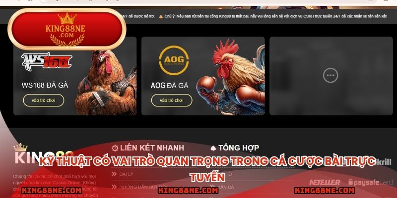 Kỹ thuật có vai trò quan trọng trong cá cược bài trực tuyến