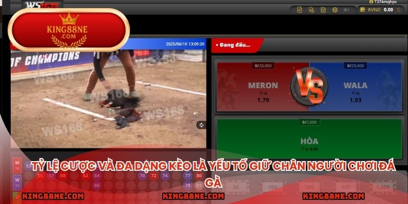 Tỷ lệ cược và đa dạng kèo là yếu tố giữ chân người chơi đá gà