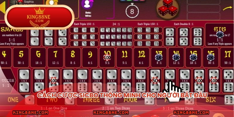 Cách cược sicbo thông minh cho người bắt đầu